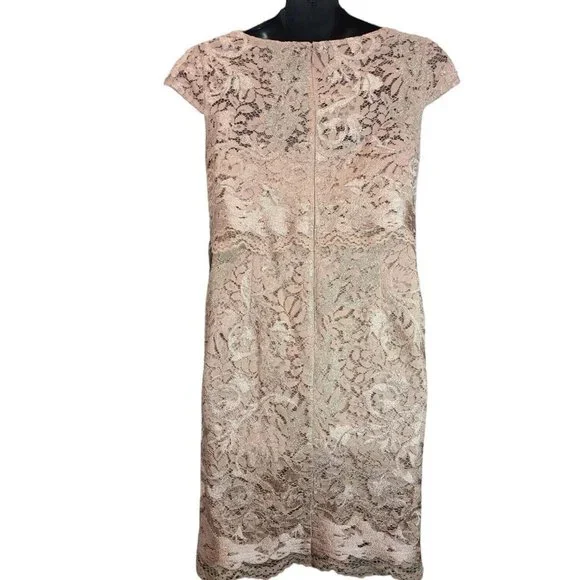 NWT Adrianna Papell Dusty Rose Embroidered Lace Popover Dress Size 2 NEW - Picture 6 of 15